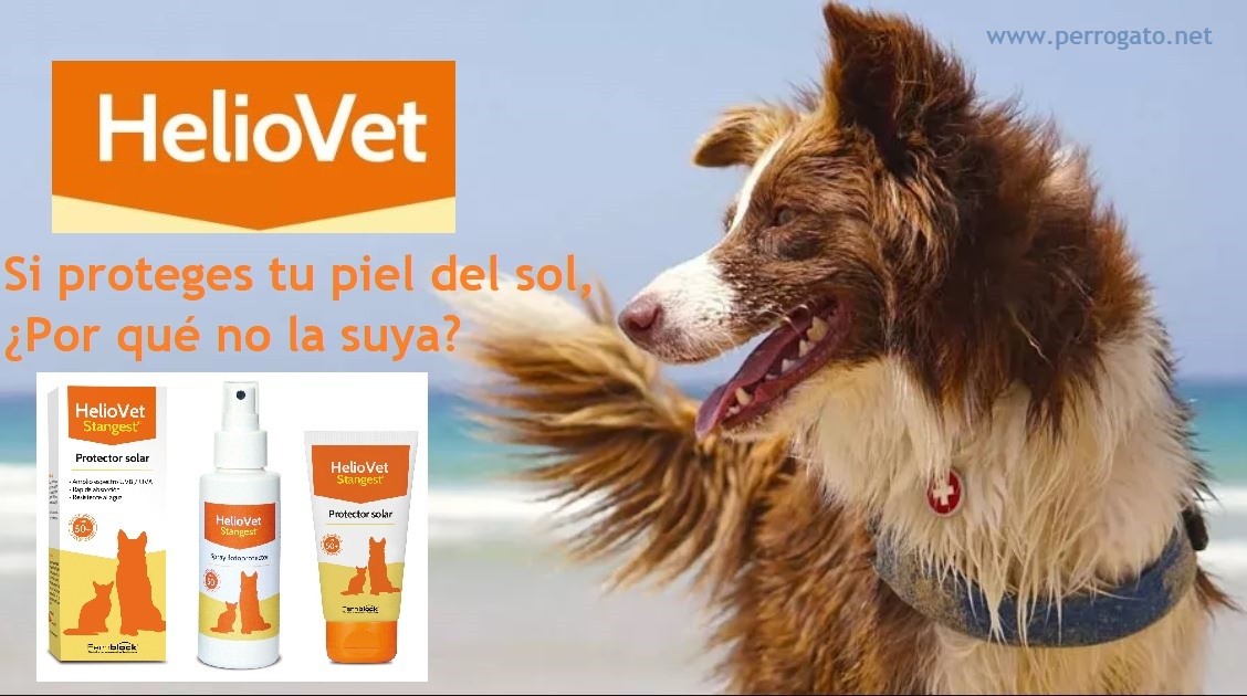Heliovet - Protector solar